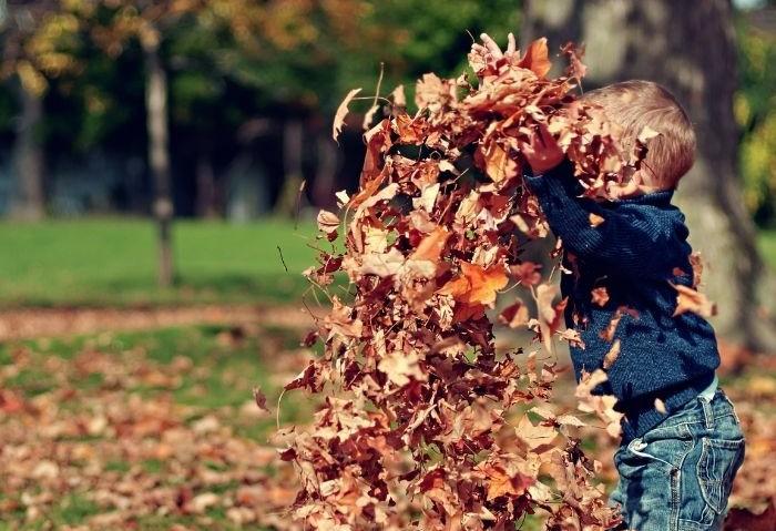 Ein Blick zurück – unser Leoba-Video, ein starkes Jahr 2025 und spannende Pläne für 2026
